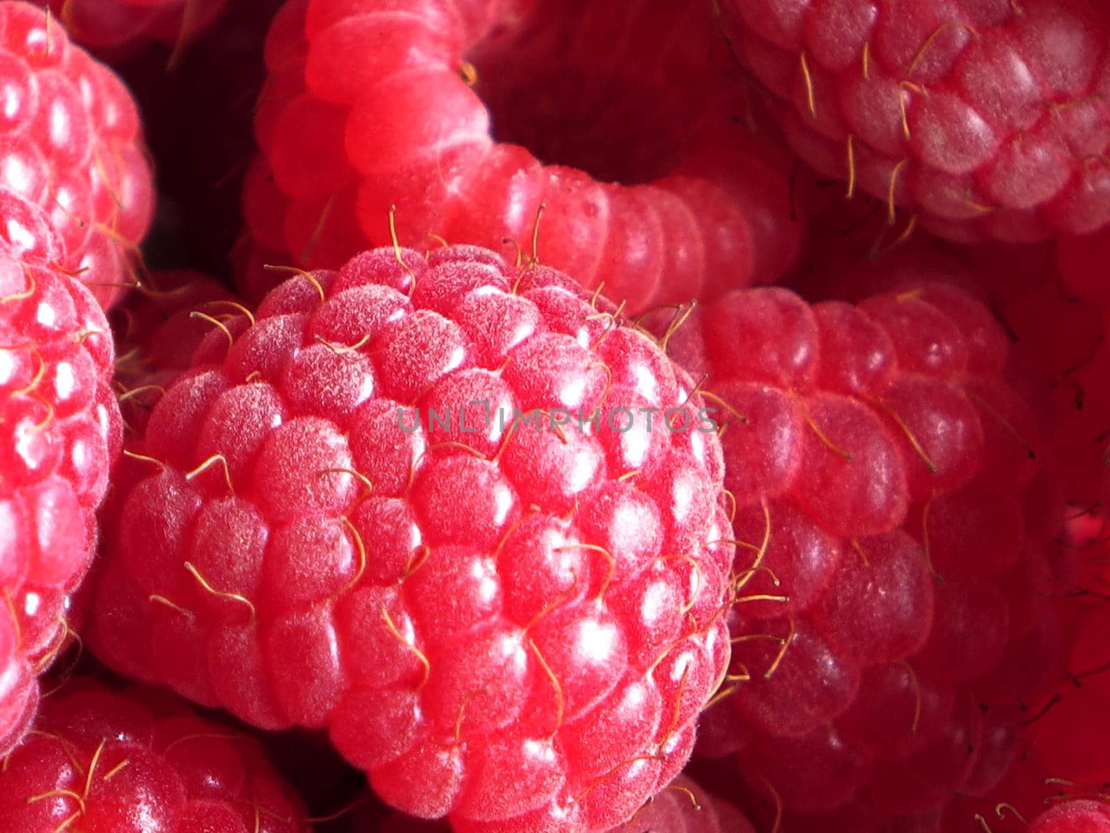 beautiful ripe raspberries by aroas