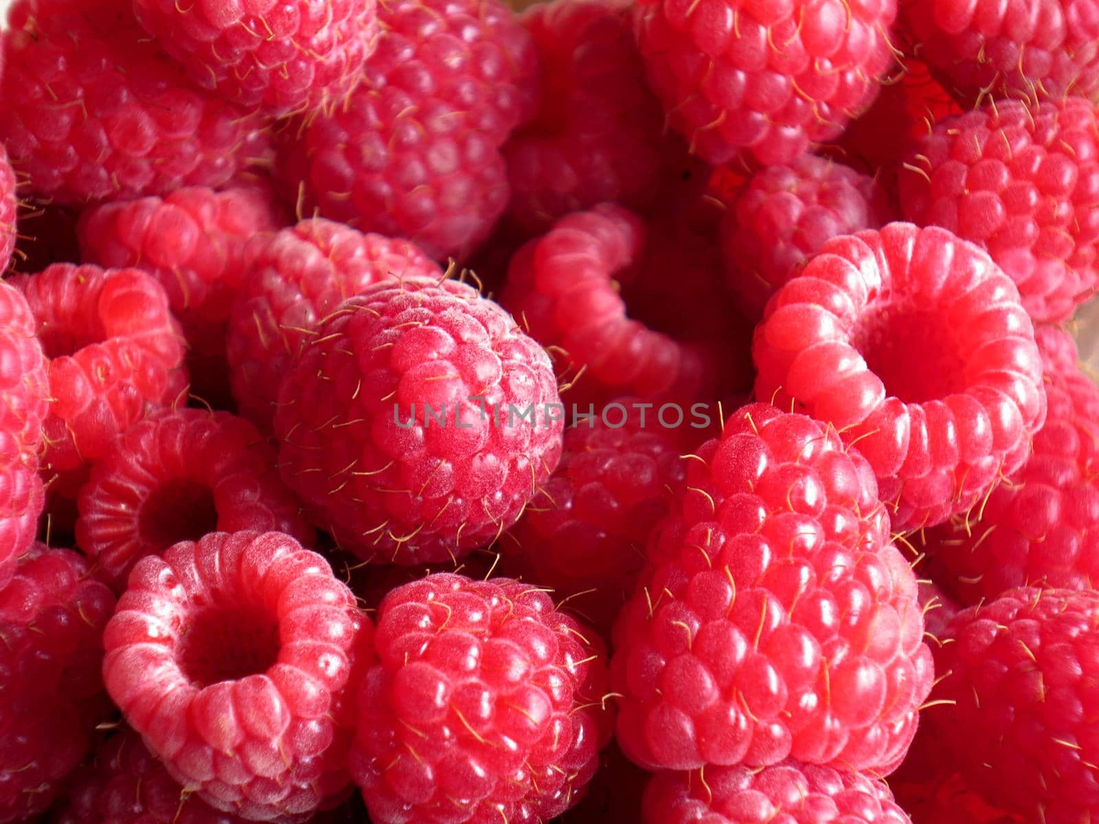 beautiful ripe raspberries by aroas