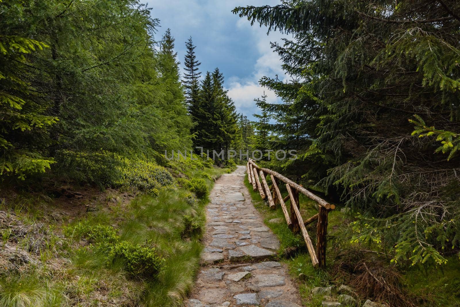 Long mountain trail with panorama of Karkonosze Giant Mountains around