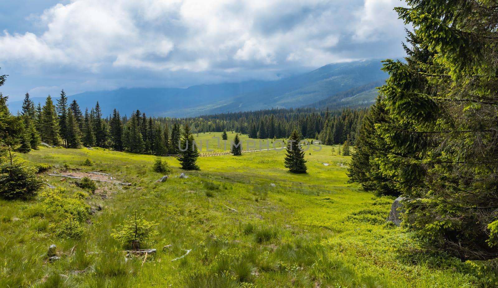 Panorama of Giant Mountains next to trail to Sniezka by Wierzchu