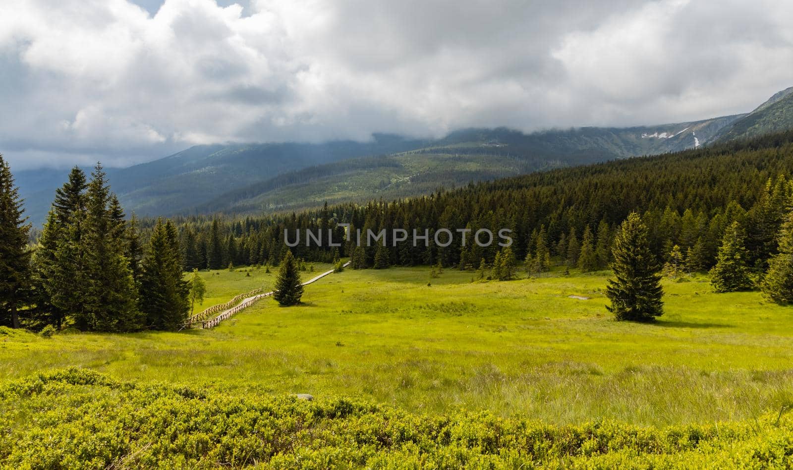 Panorama of Giant Mountains next to trail to Sniezka