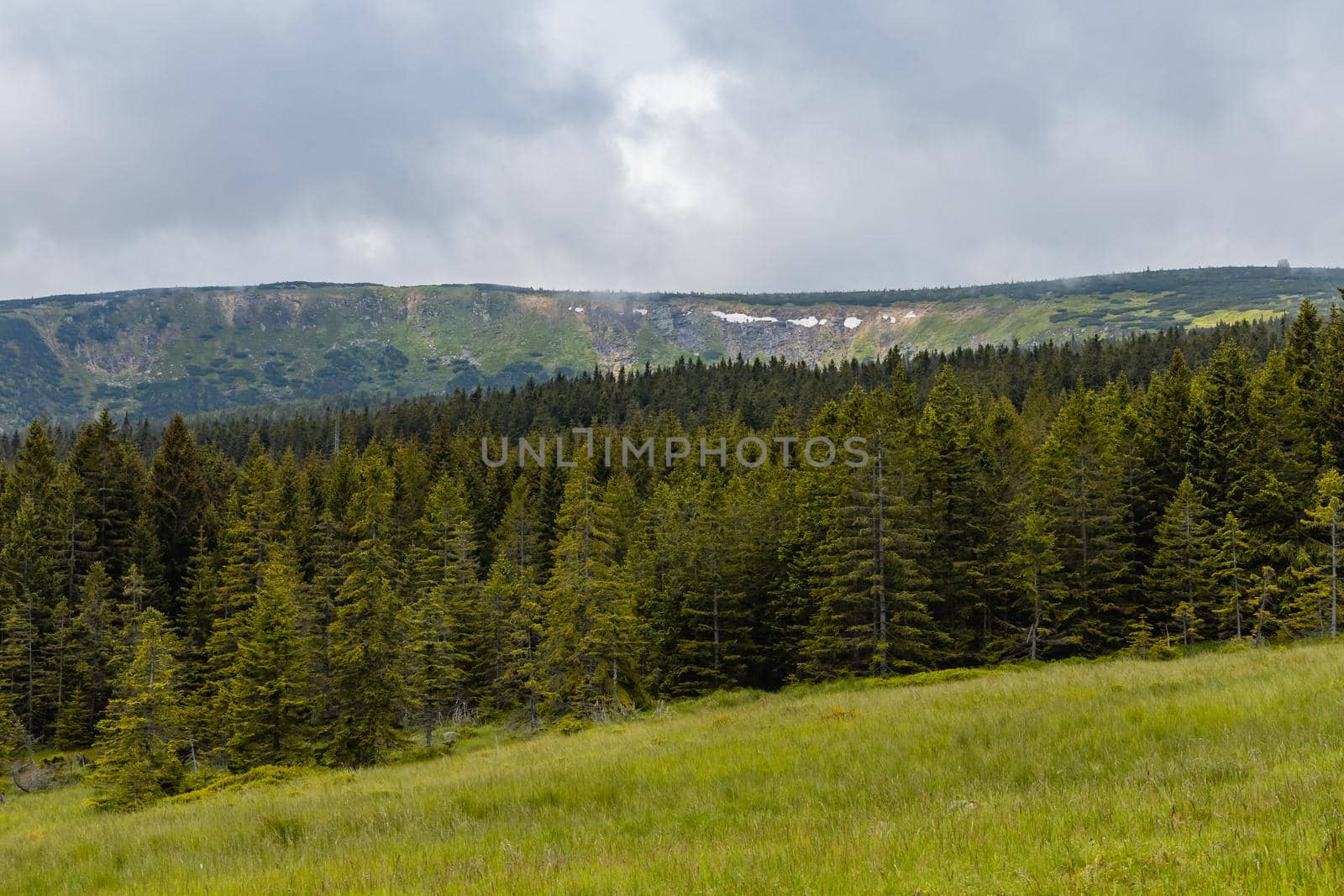 Panorama of Giant Mountains next to trail to Sniezka