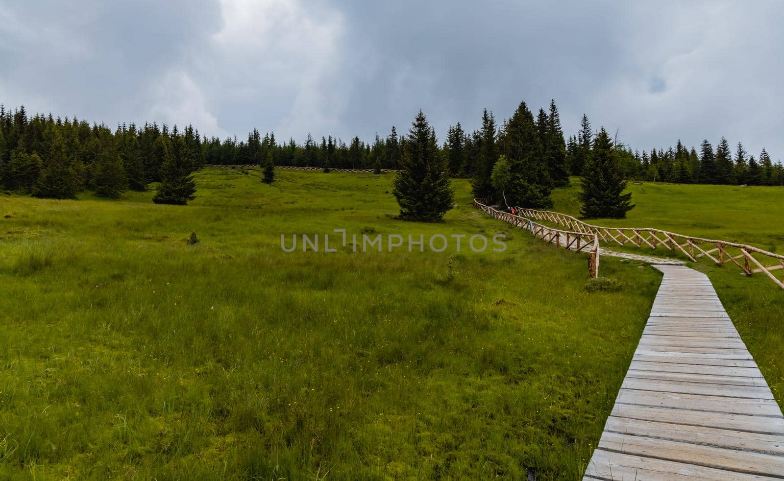 Long mountain trail with panorama of Karkonosze Giant Mountains around