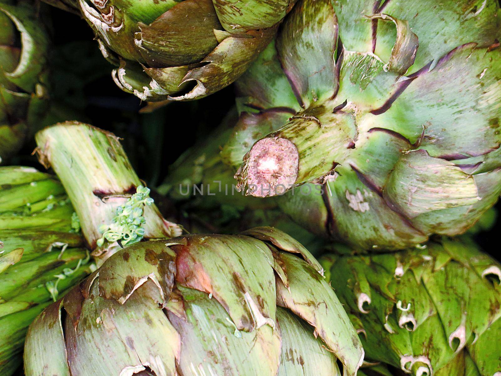 artichoke for sale at the Farmers Market