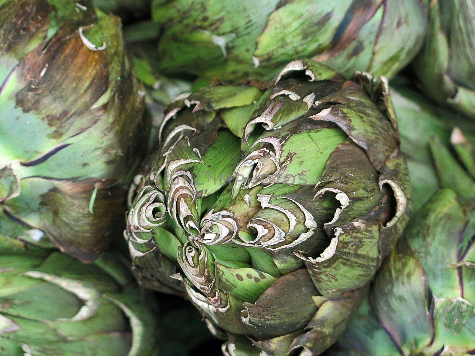 artichoke for sale at the Farmers Market