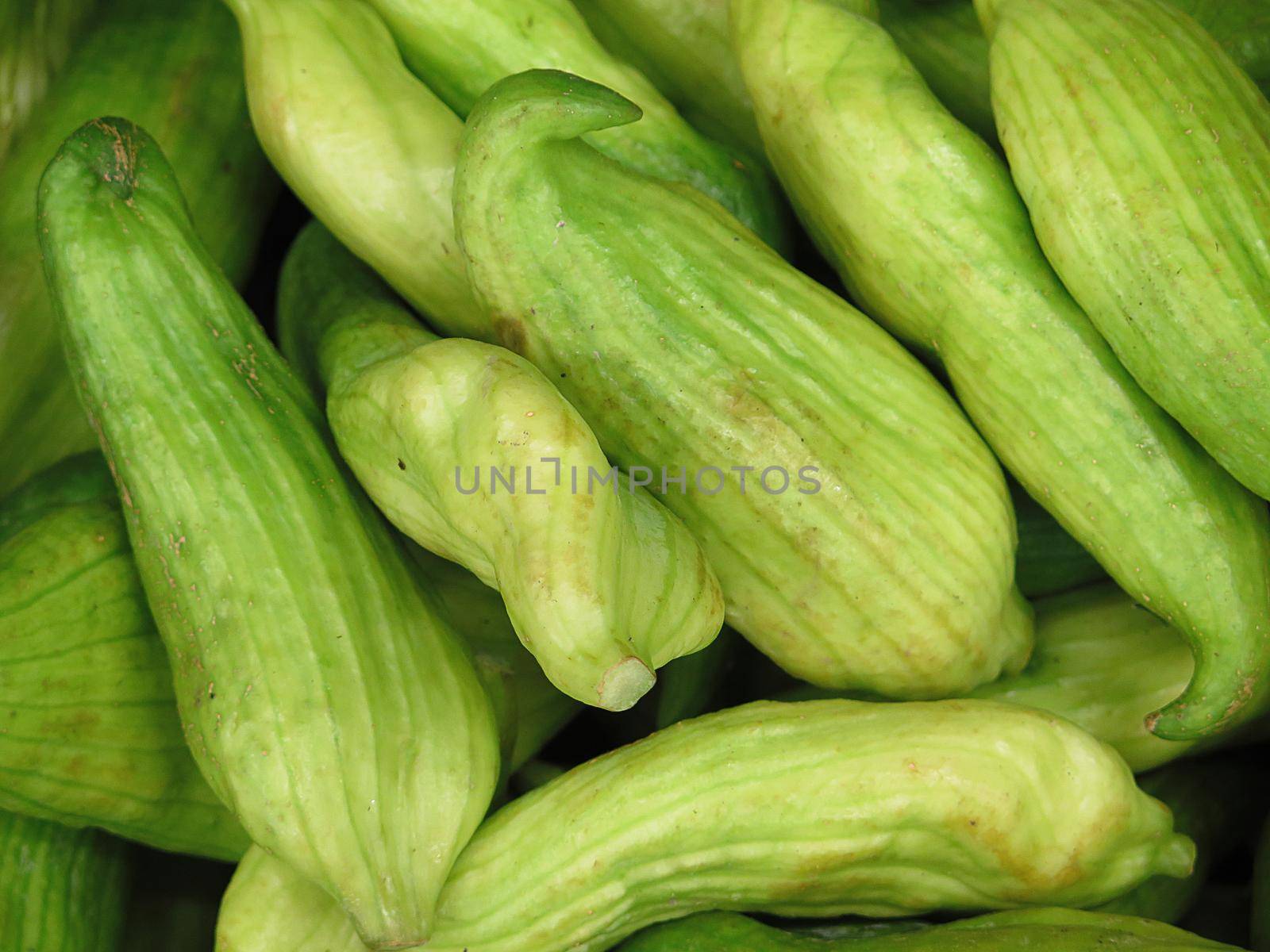 fresh Caigua for sale at the Farmers Market