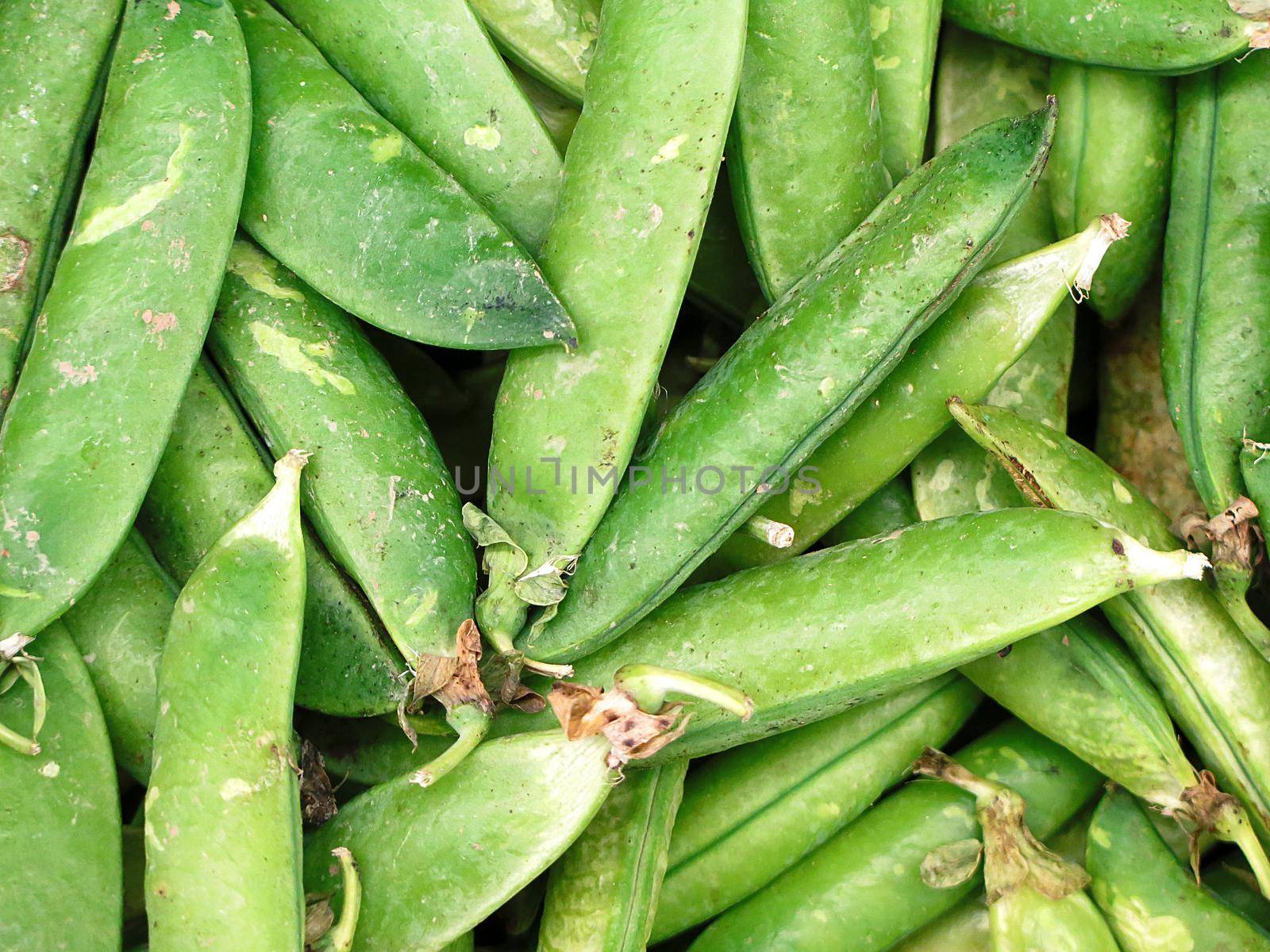 fresh green bean species for sale at the Farmers Market