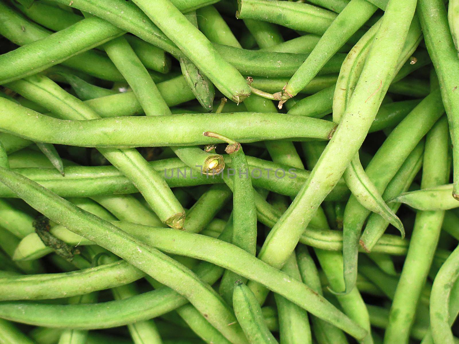 fresh green bean species for sale at the Farmers Market