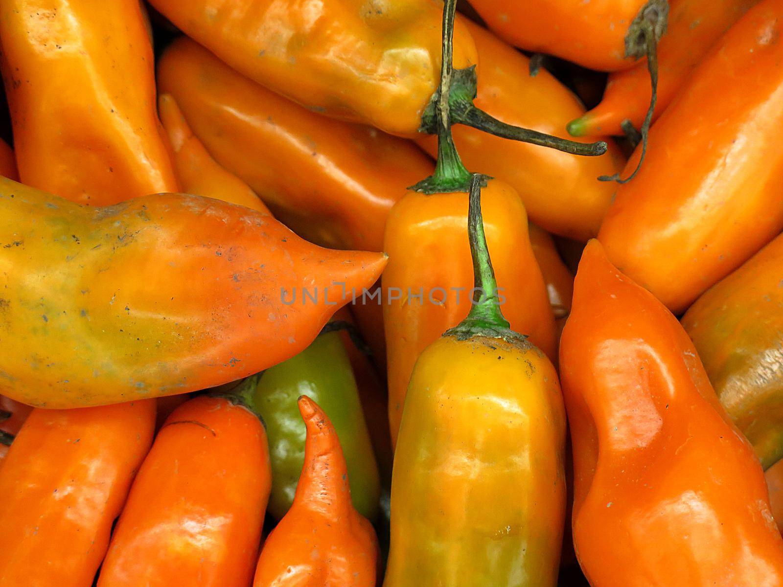 Peruvian yellow chili pepper for sale at the Farmers Market