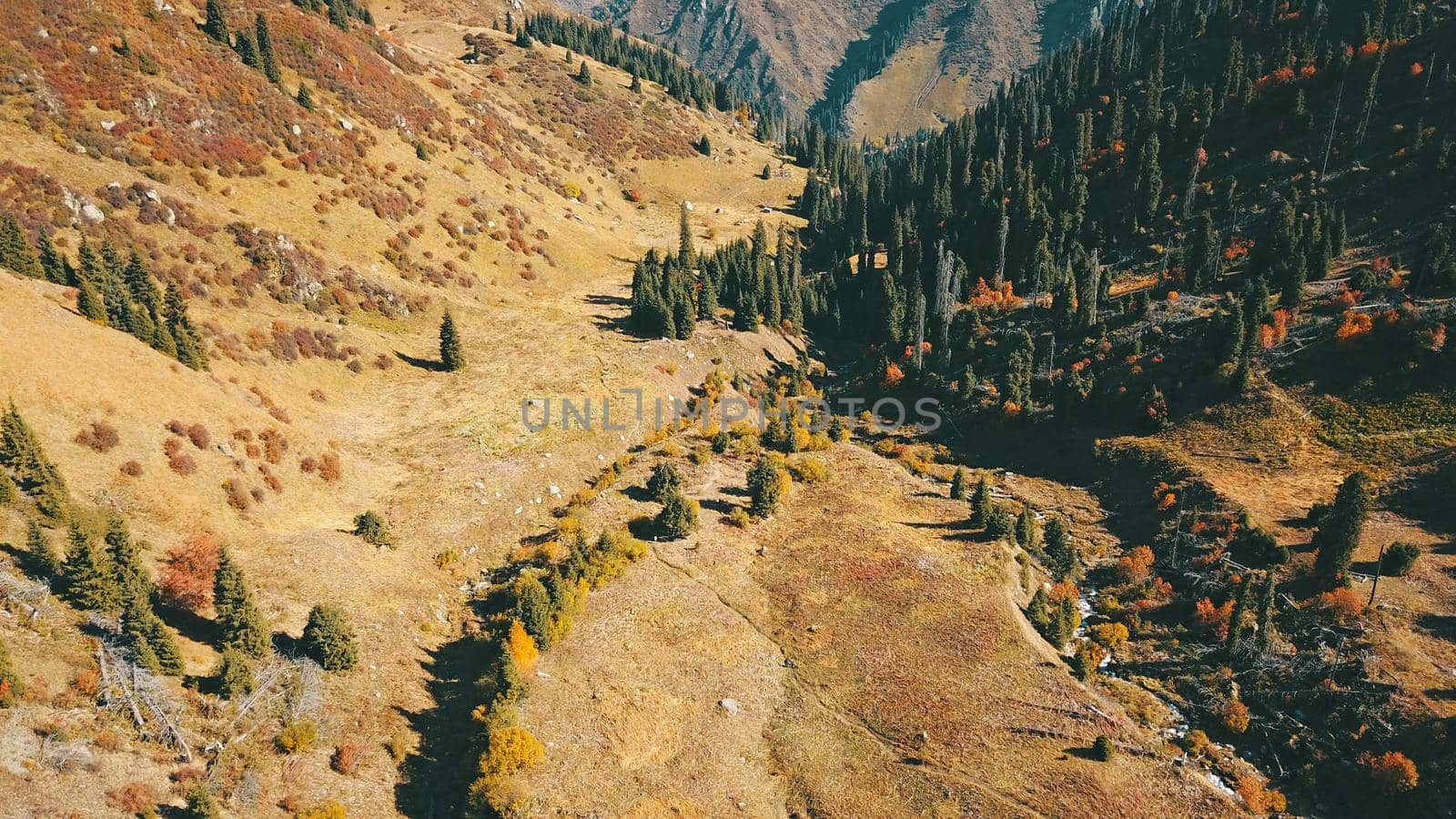 A group of several people is walking along a trail in the mountains. Yellow grass, Golden leaves on the trees, snow in places. Top view from a drone. The ascent to the peak. Cloud shadows are visible.