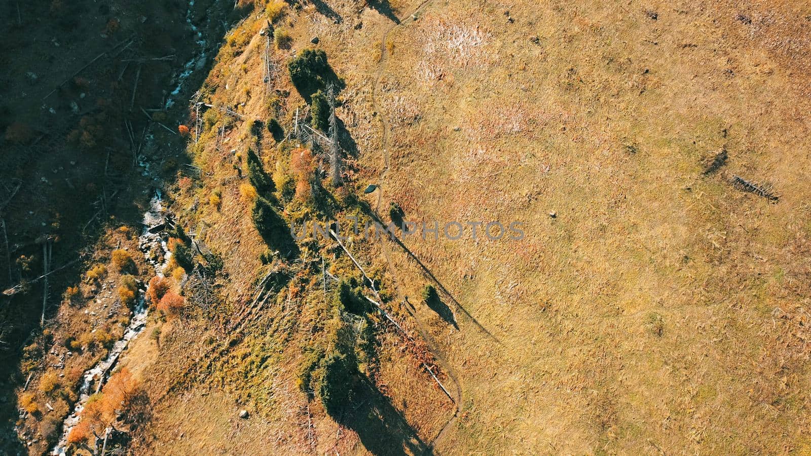 A group of several people is walking along a trail in the mountains. Yellow grass, Golden leaves on the trees, snow in places. Top view from a drone. The ascent to the peak. Cloud shadows are visible.