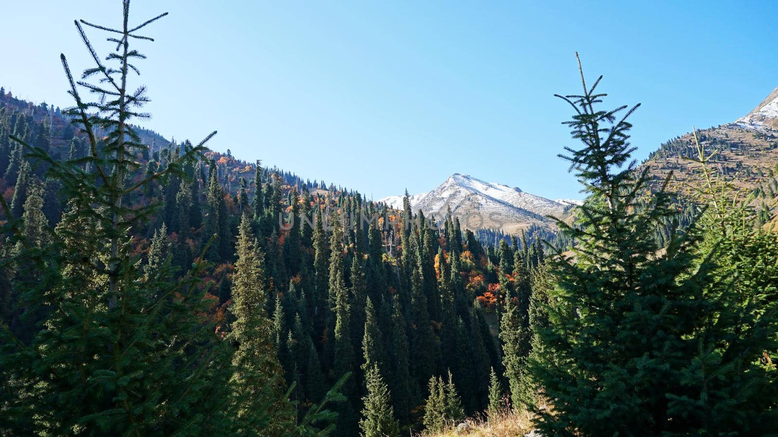 Autumn landscape of mountains and forests. by Passcal