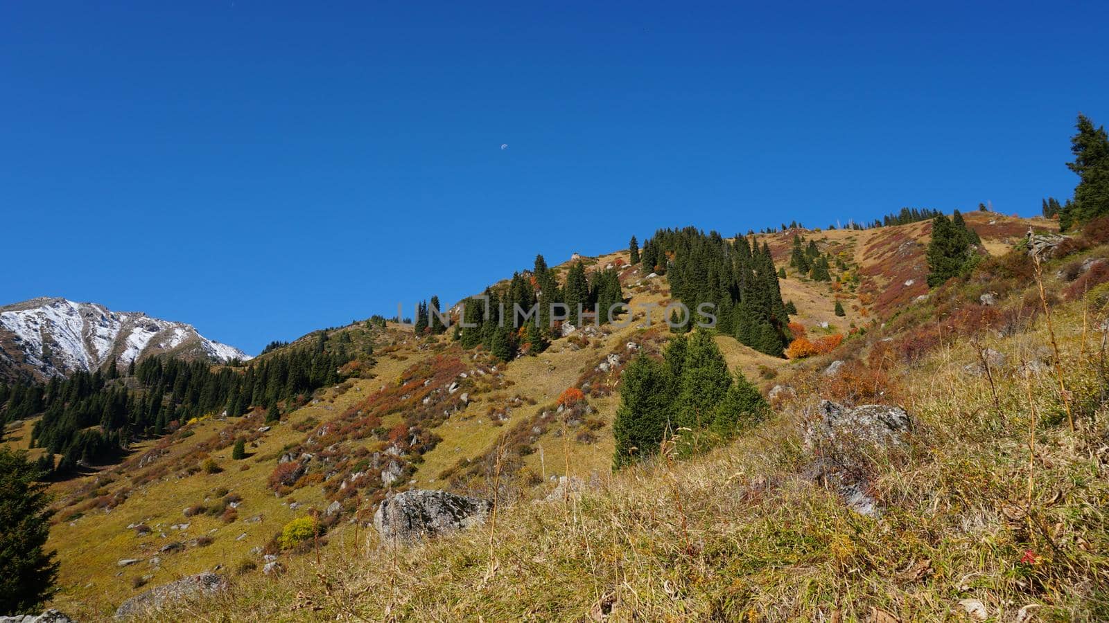 Autumn landscape of mountains and forests. by Passcal
