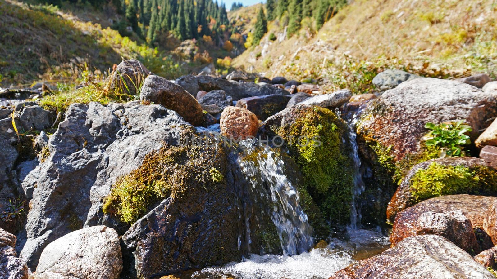 River in the gorge of mountains and meadows. by Passcal