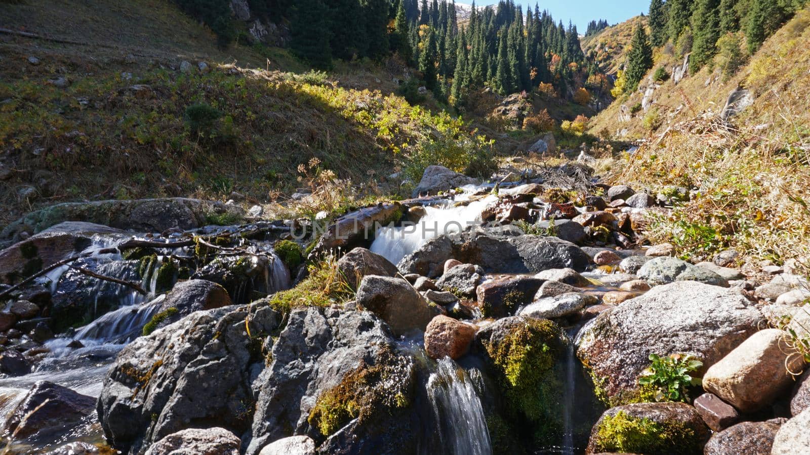 River in the gorge of mountains and meadows. by Passcal