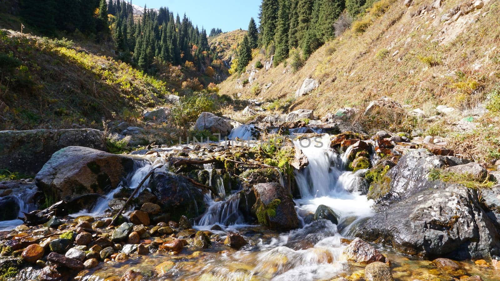 River in the gorge of mountains and meadows. by Passcal