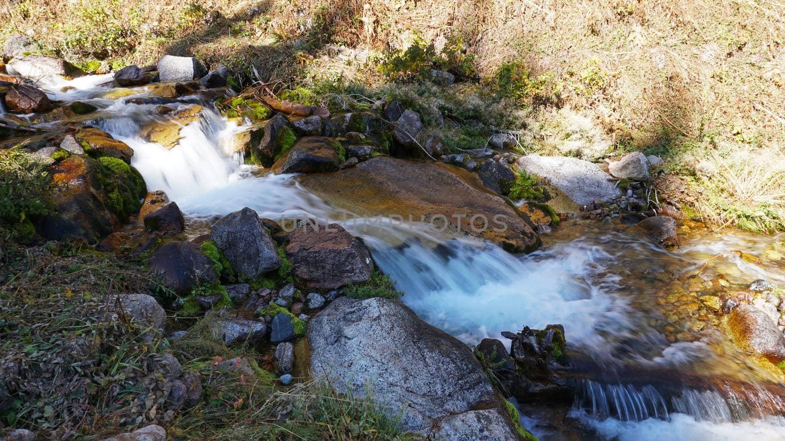 River in the gorge of mountains and meadows. by Passcal