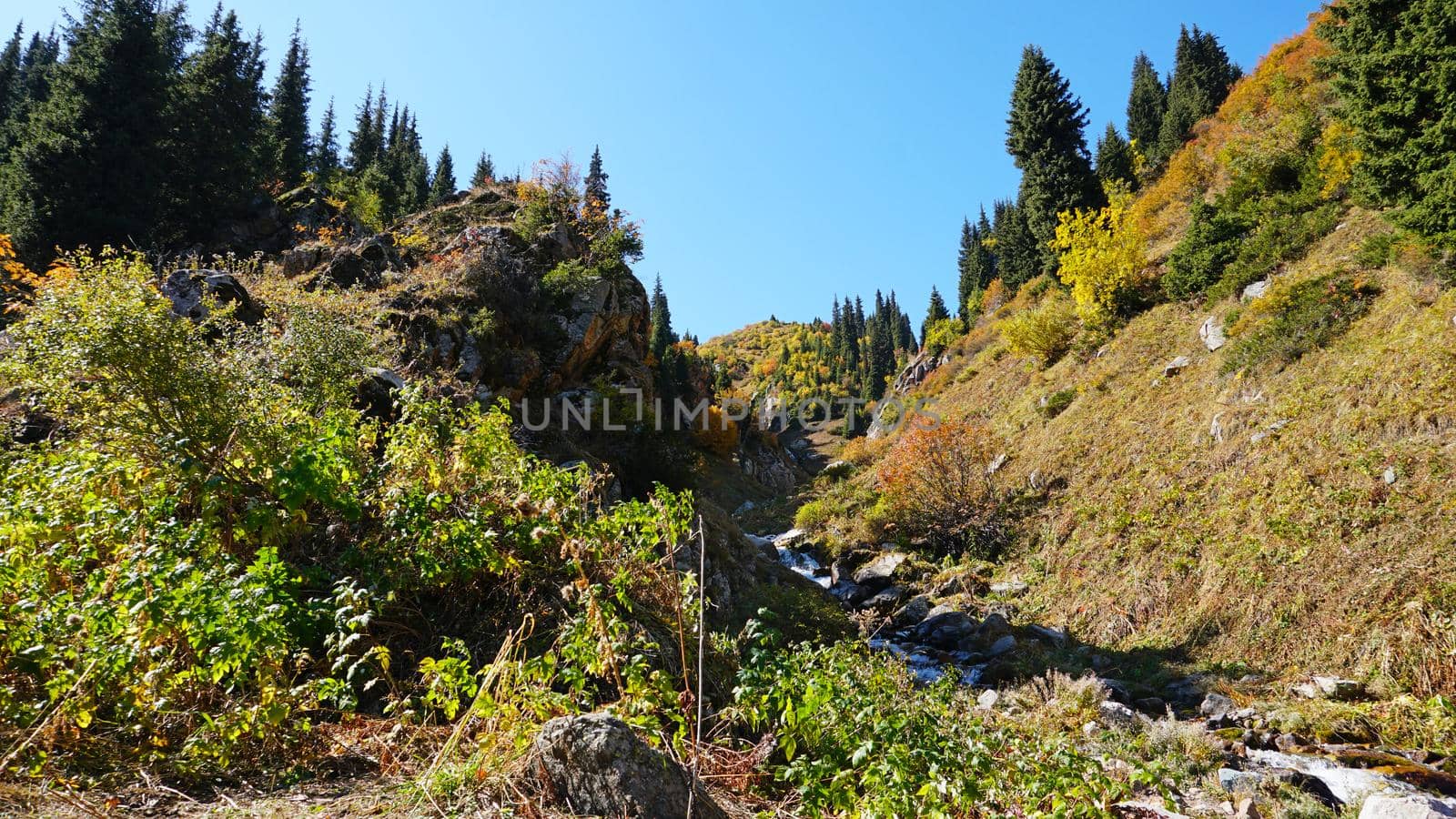 River in the gorge of mountains and meadows. by Passcal