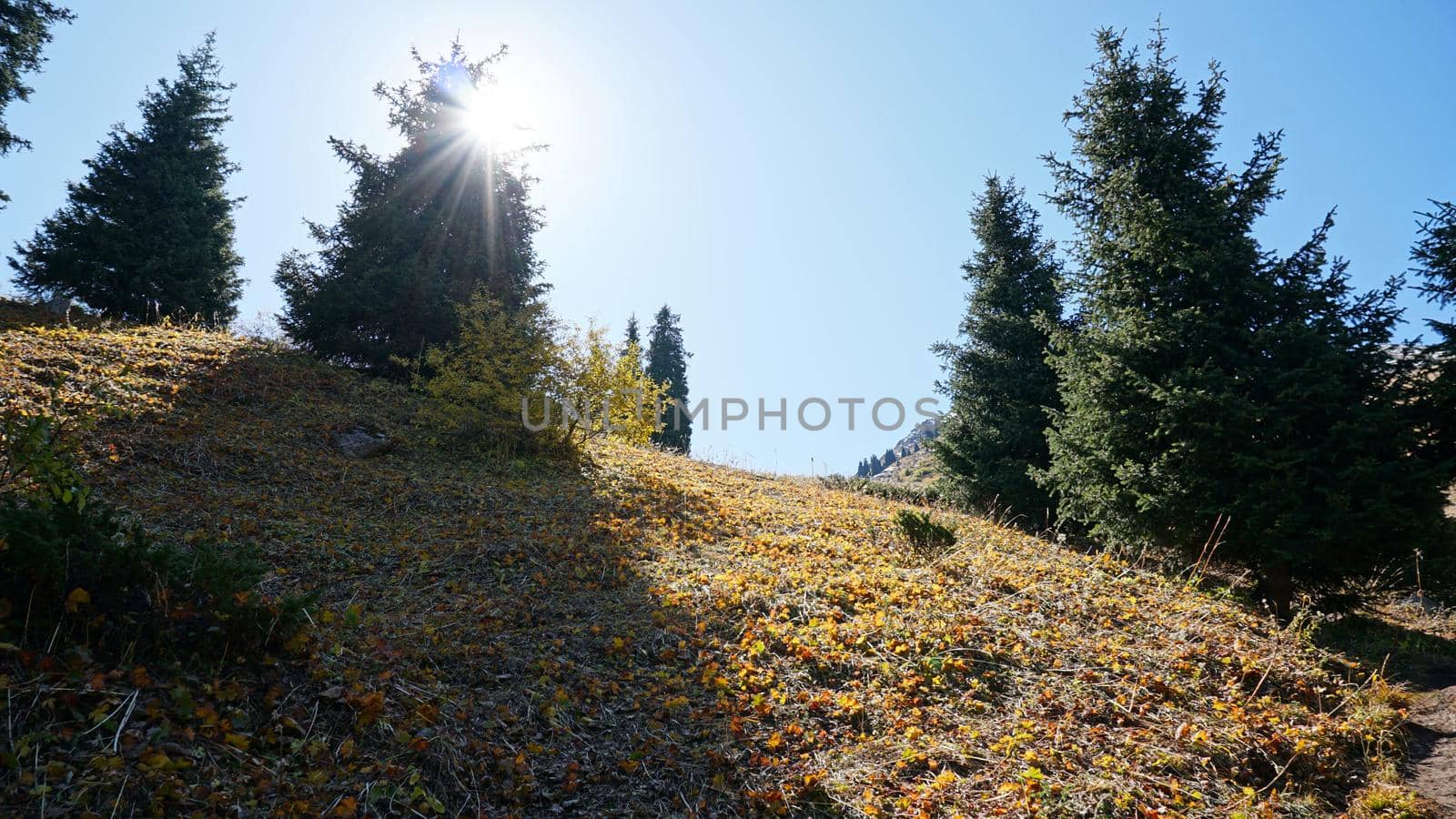 Autumn landscape of mountains and forests. by Passcal