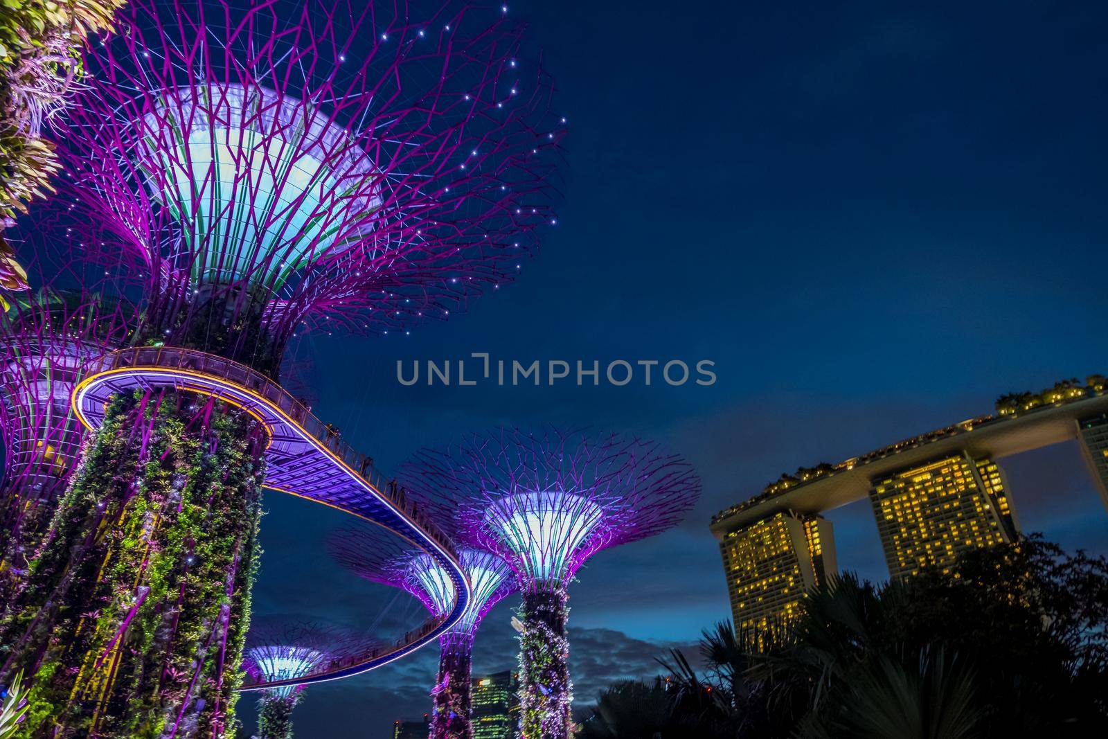 View of Garden by the bay at night - Singapore