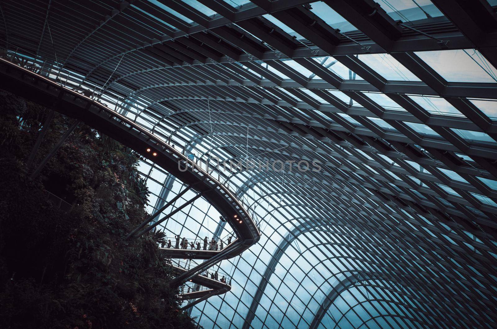 In dome Gardens by the Bay with crownded people walking on the bridge in Sigapore. by Benzoix