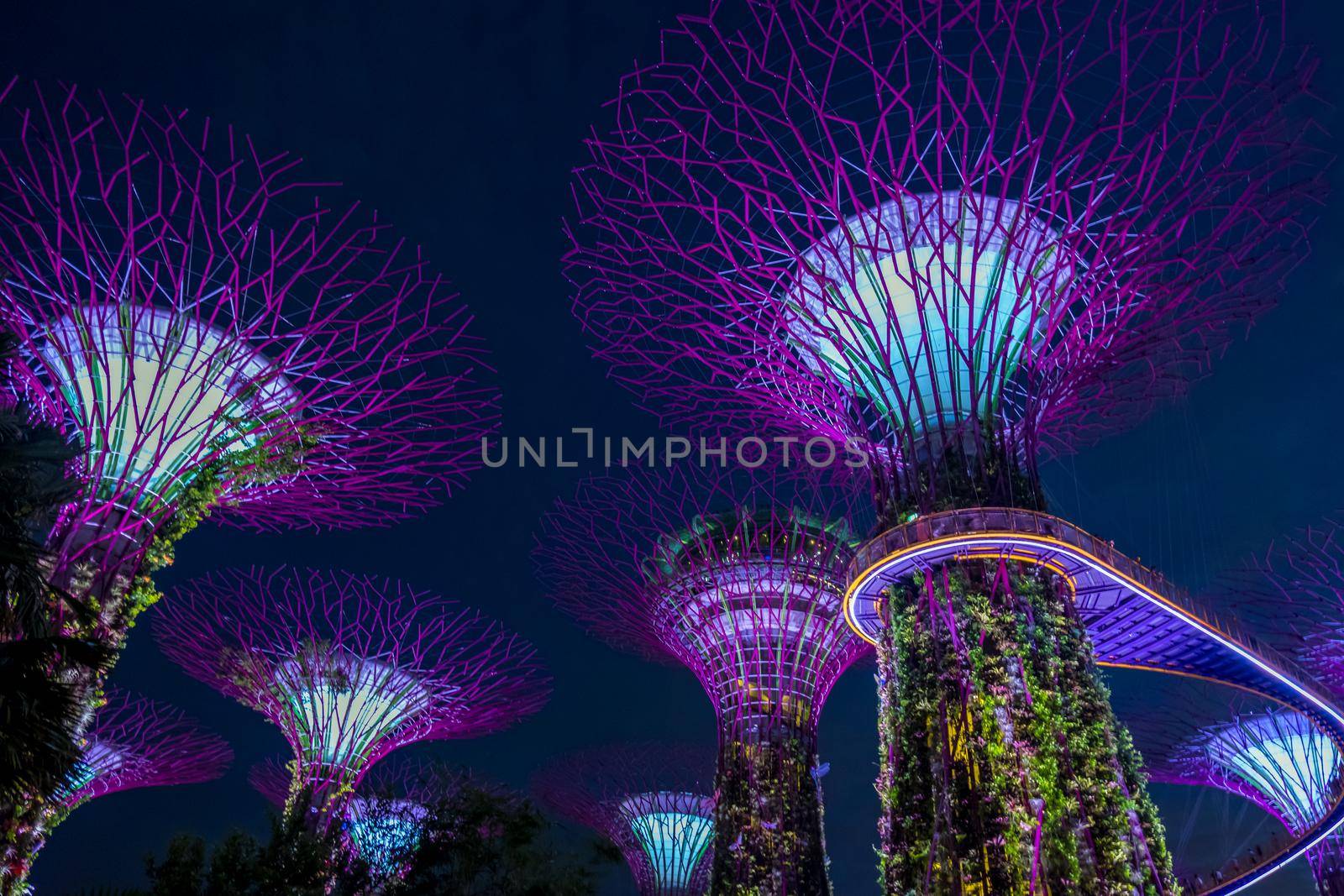 View of Garden by the bay at night - Singapore. by Benzoix