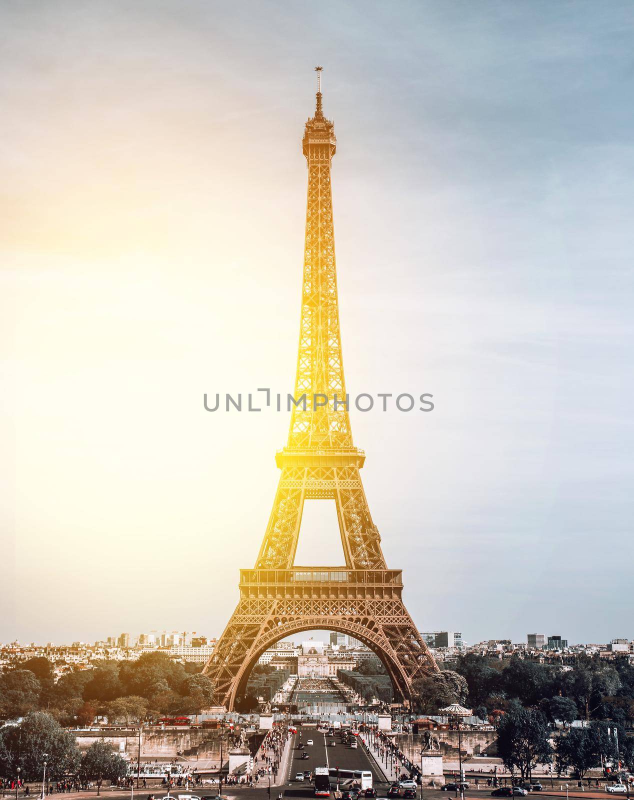 Vertical View on Eiffel Tower, Paris, France. by Benzoix