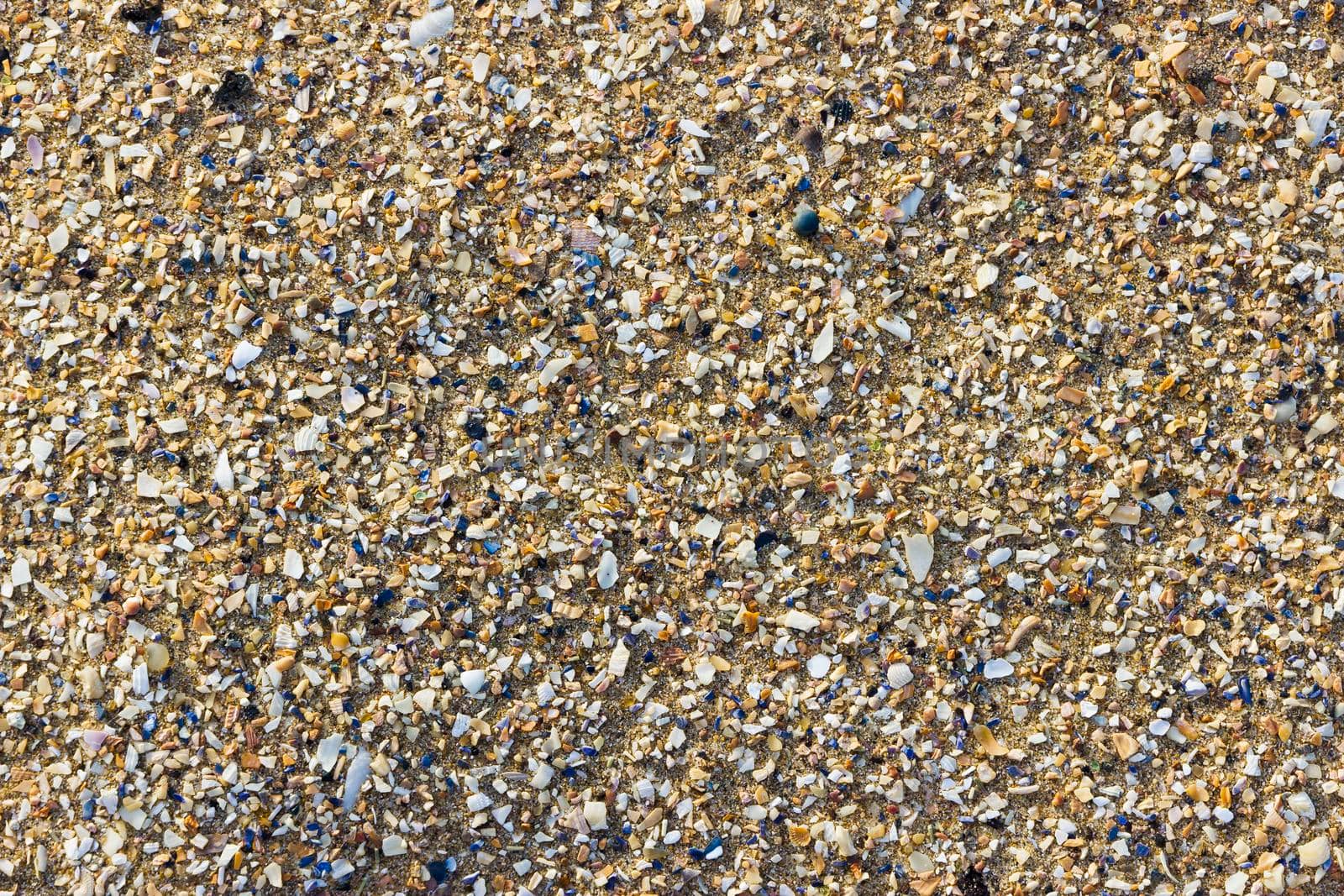 An abstract background natural texture of sand and sea shell fragments on Margate beach. 