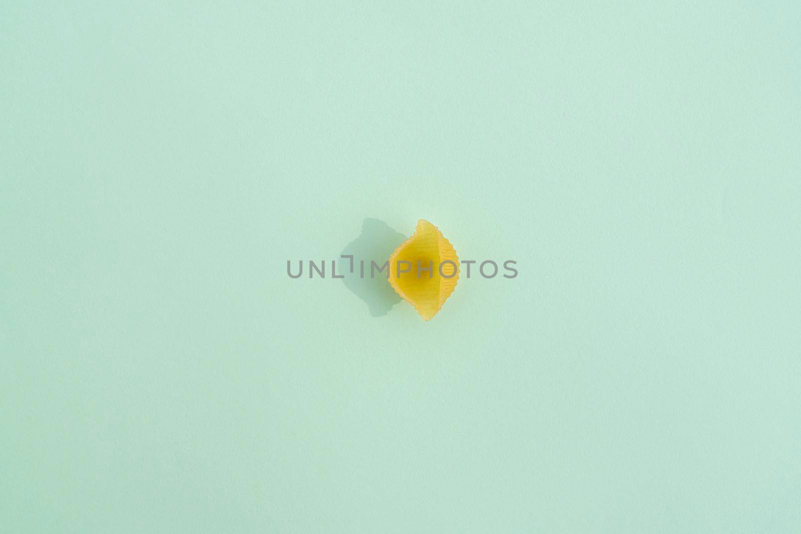 pasta shell with a hard shadow on a colorful background. High quality photo
