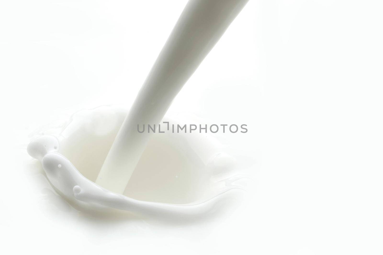 Pouring milk splash isolated on white background macro