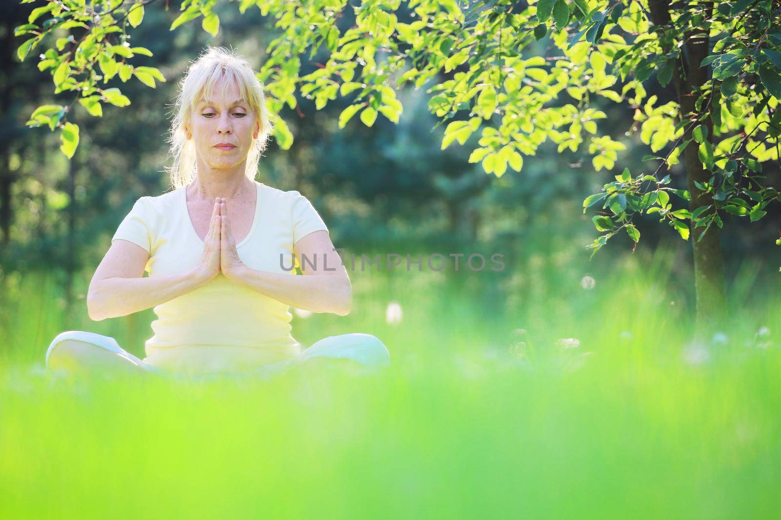 Yoga woman in the park by destillat