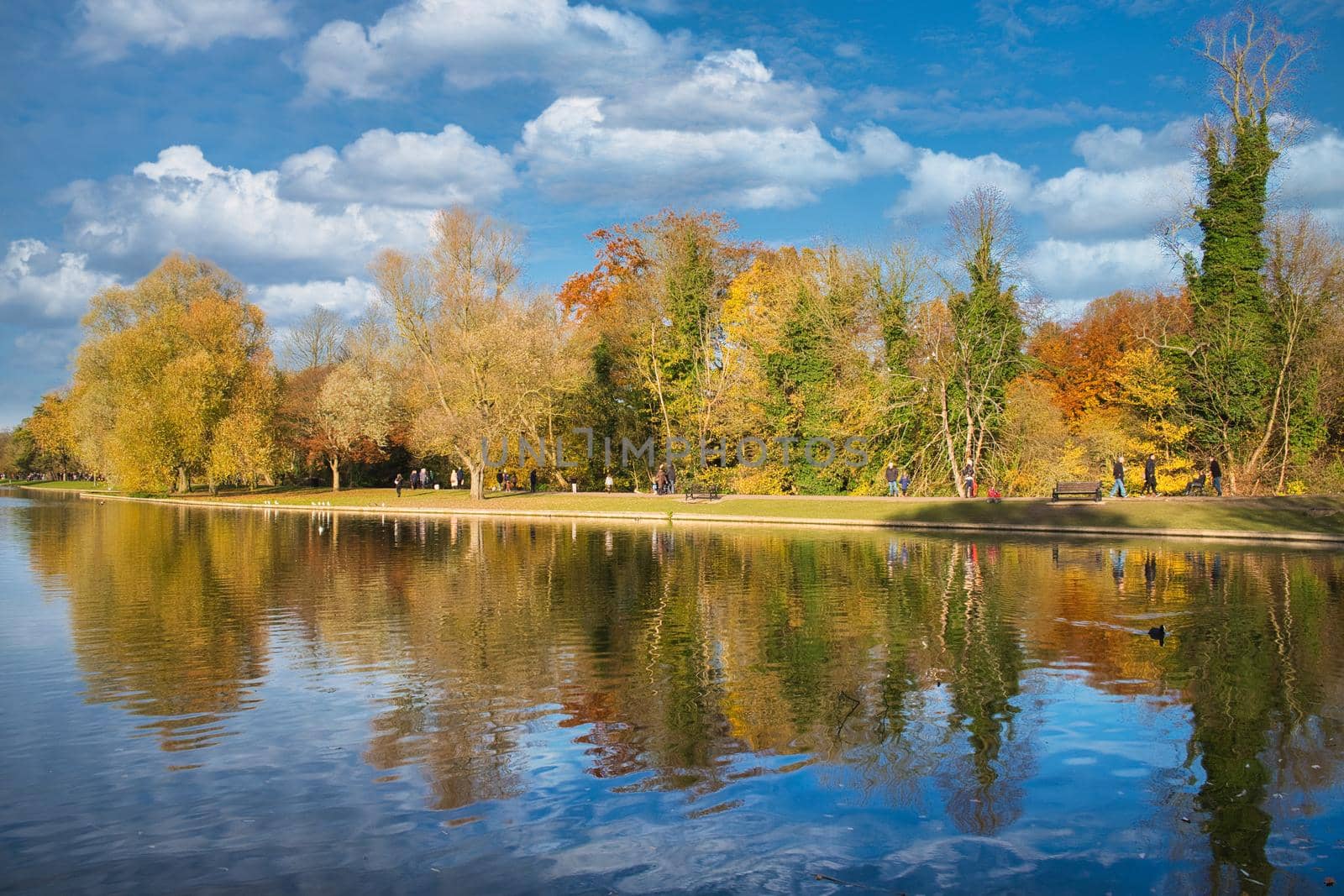 View of the ornamental lake in Verulanium Park, St Albans,UK.