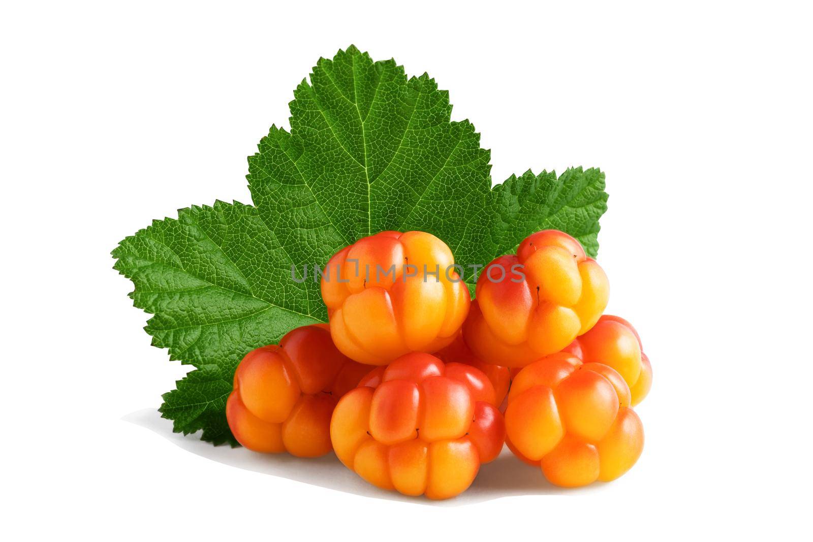 Several cloudberries with a leaf isolated on a white background with clipping path with and without shadow by galsand