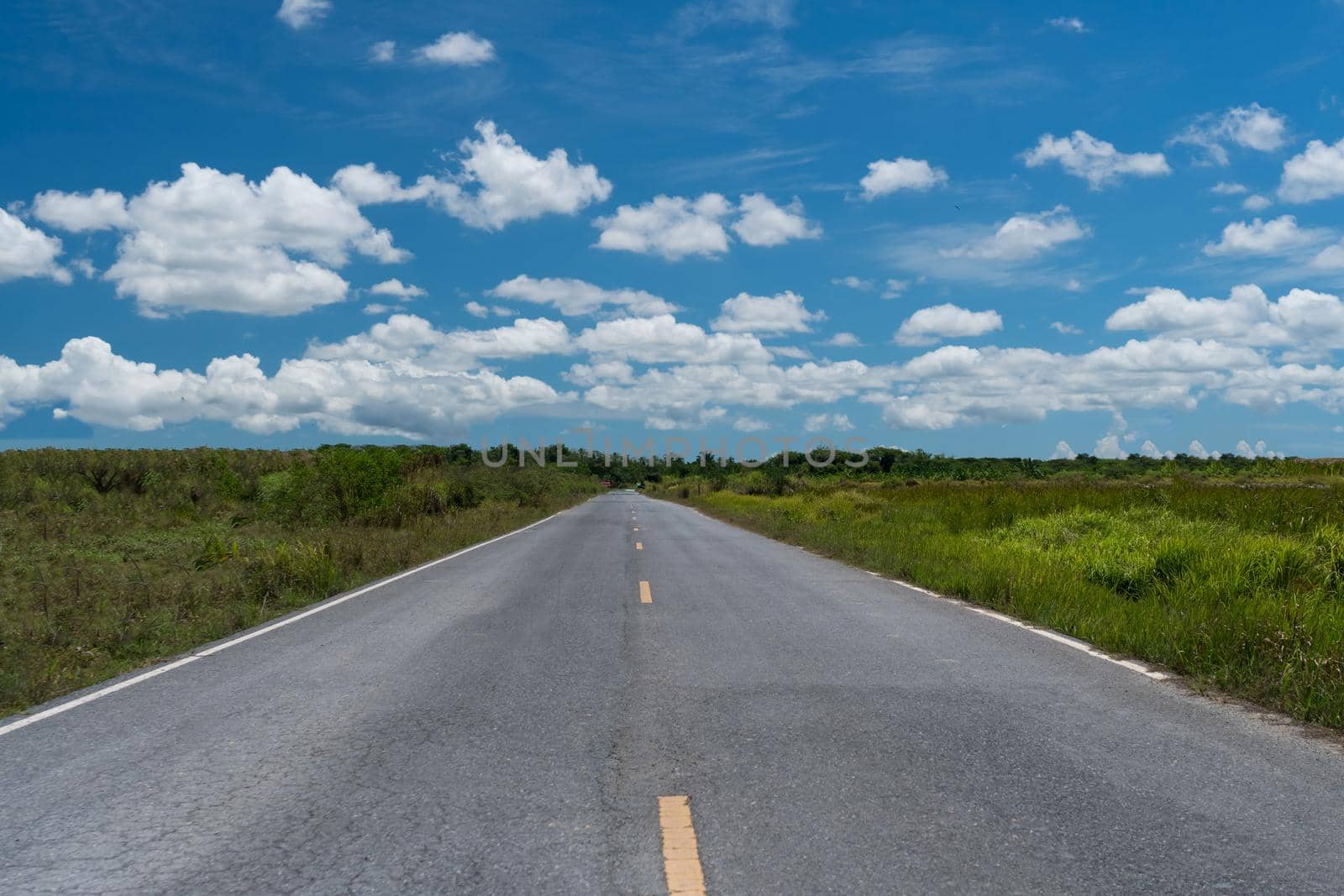 Small country road with blue sky background. by Suwant