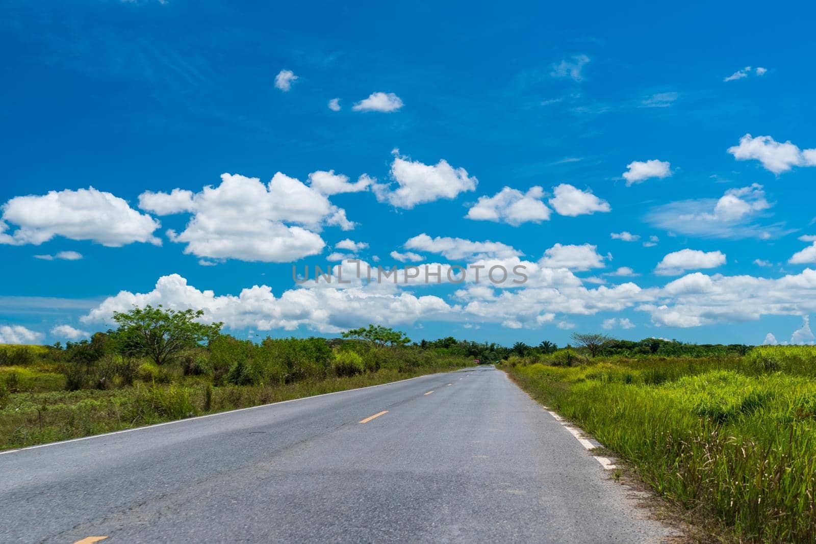 Small country road or street with blue sky background.