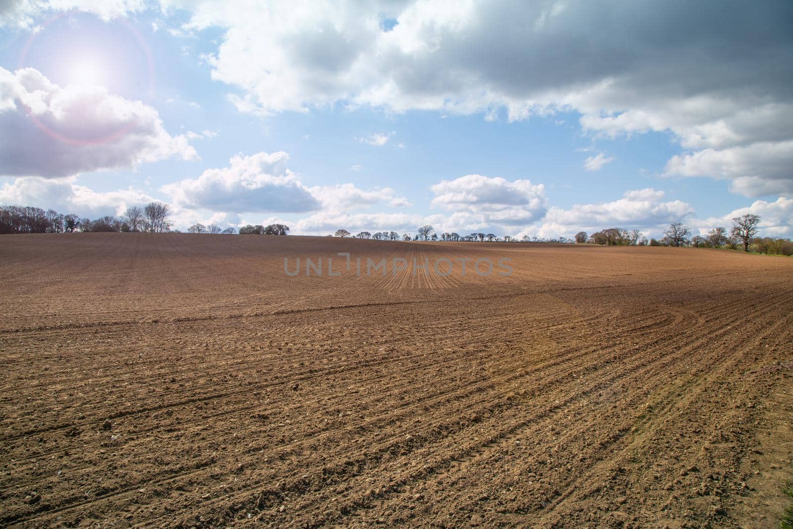 Plowed agricultural spring field during sunny day, dramatic sky, soil texture close up. Rural scene. Farm and food industry. Furrows row pattern in a plowed field in spring. Horizontal perspective