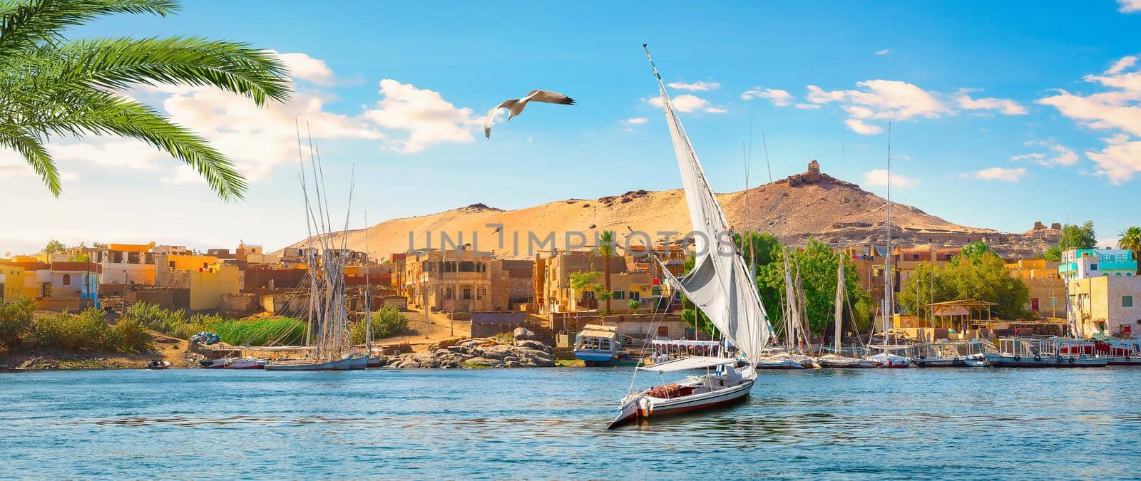 Sailboats on river nile in Aswan, panoramic view