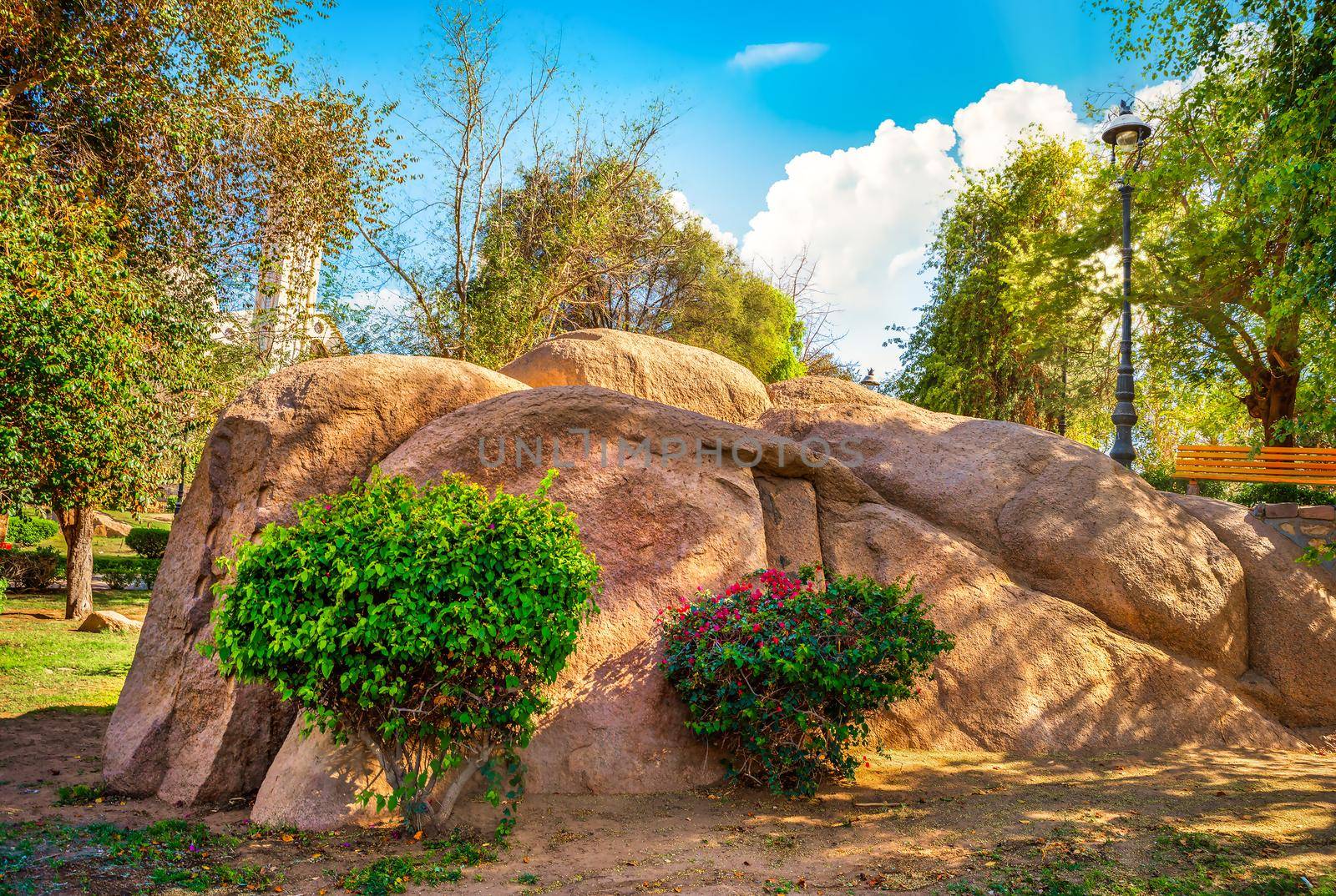 Flowering bushes near big stones in the park of Aswan, Egypt