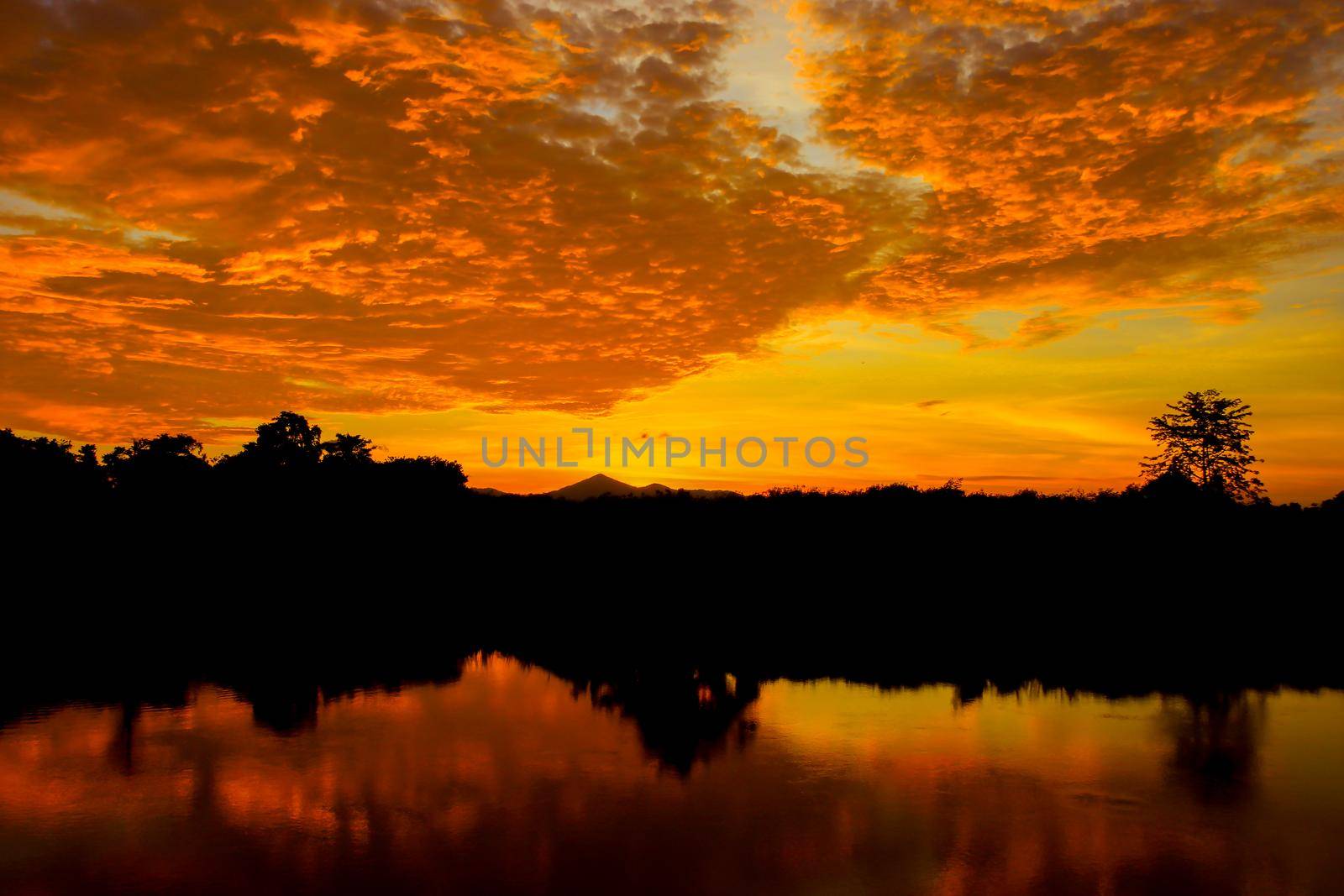 sunset beautiful colorful landscape and silhouette tree  reflex water river in sky twilight time with copy space add text by pramot