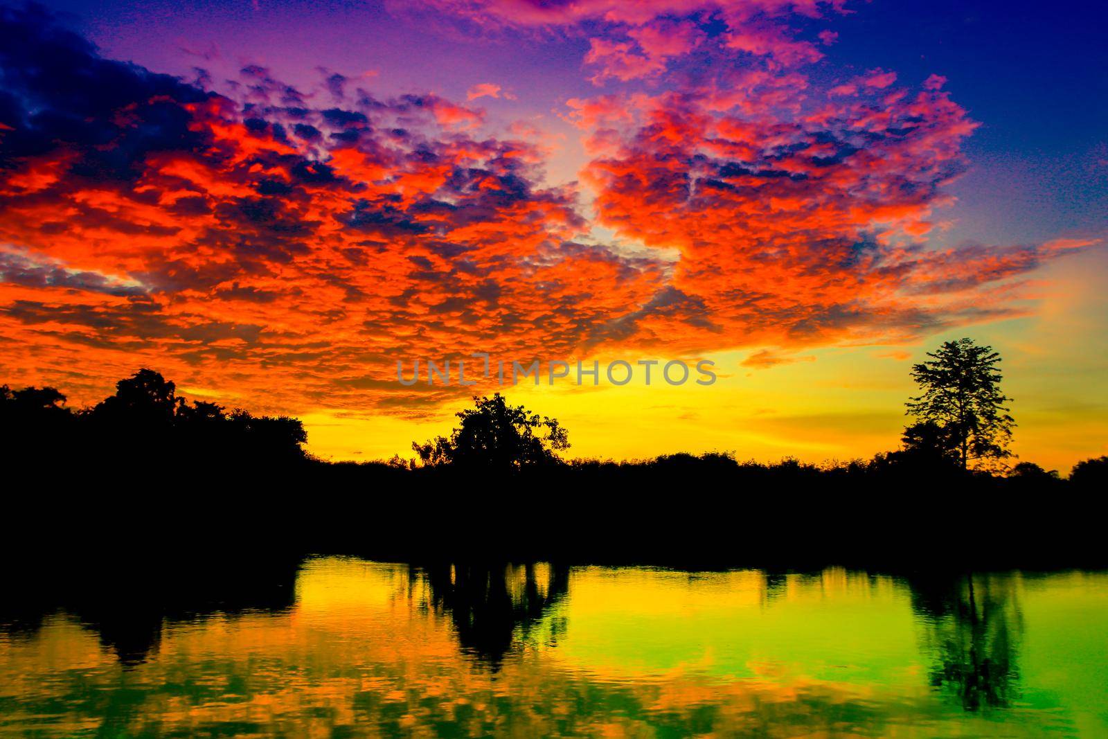 sunset beautiful colorful landscape and silhouette tree  reflex water river in sky twilight time with copy space add text