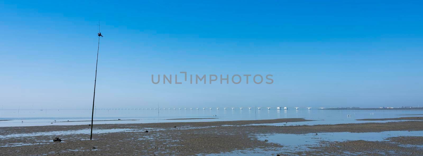 zeelandbrug under blue sky in water landscape of zeeland in holland by ahavelaar