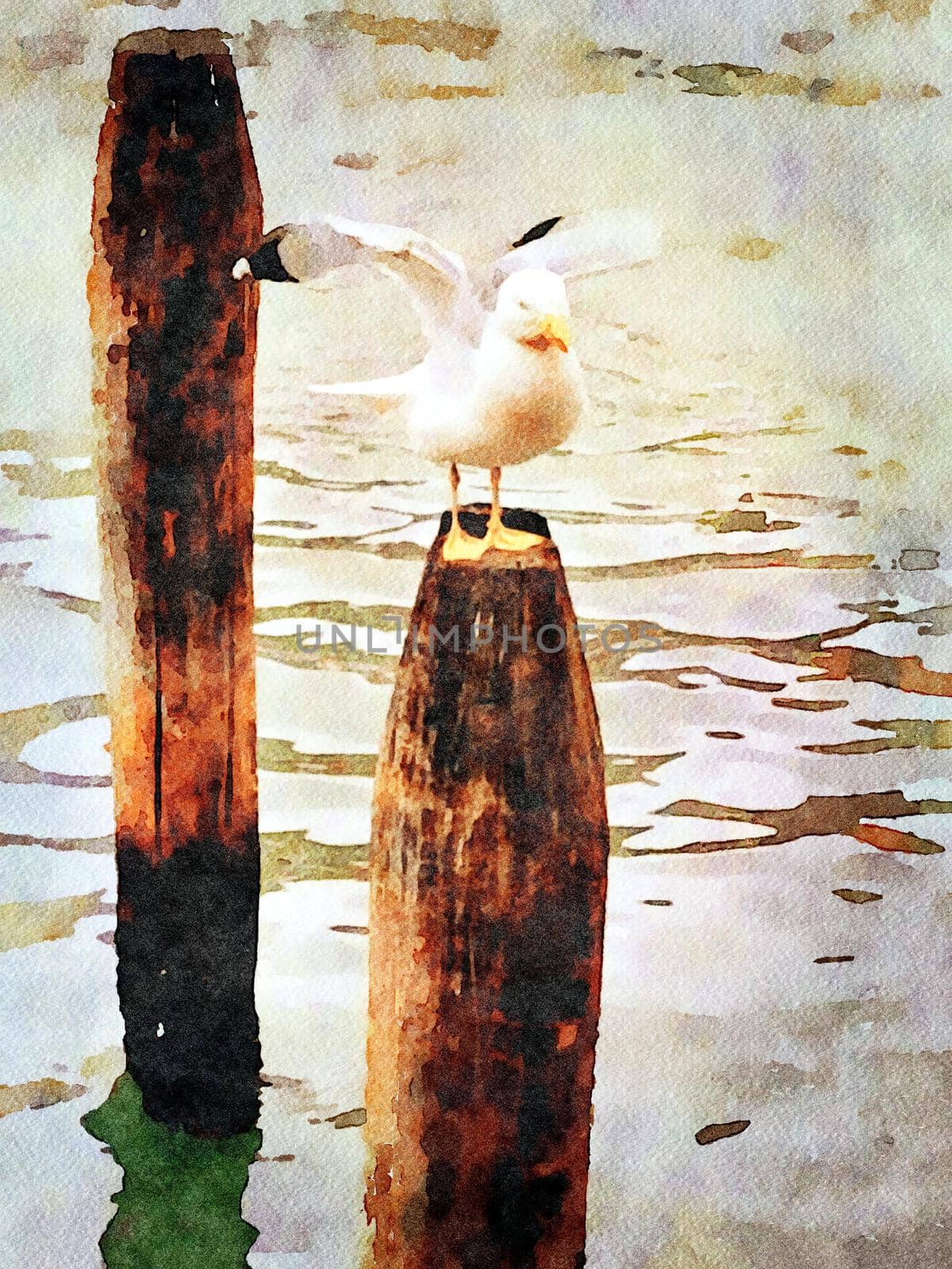 Watercolor representing a seagull perched on one of the poles of the canals in the center of Venice