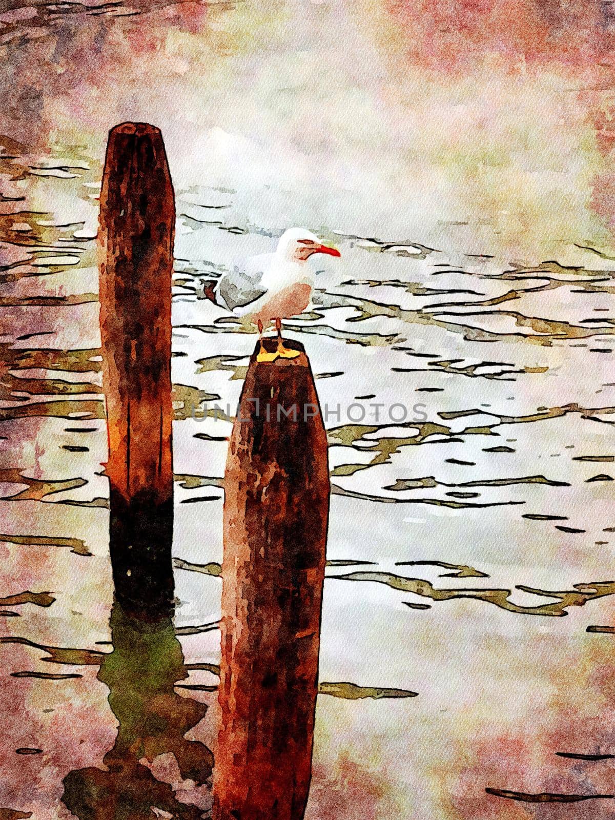 Watercolor representing a seagull perched on one of the poles of the canals in the center of Venice