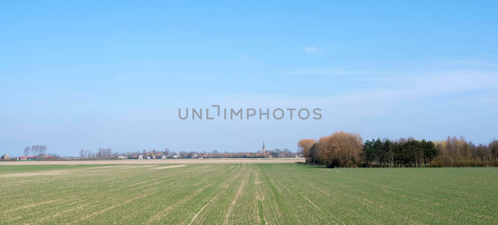 field near dreischor on schouwen-duiveland in the netherlands on sunny day in spring. by ahavelaar