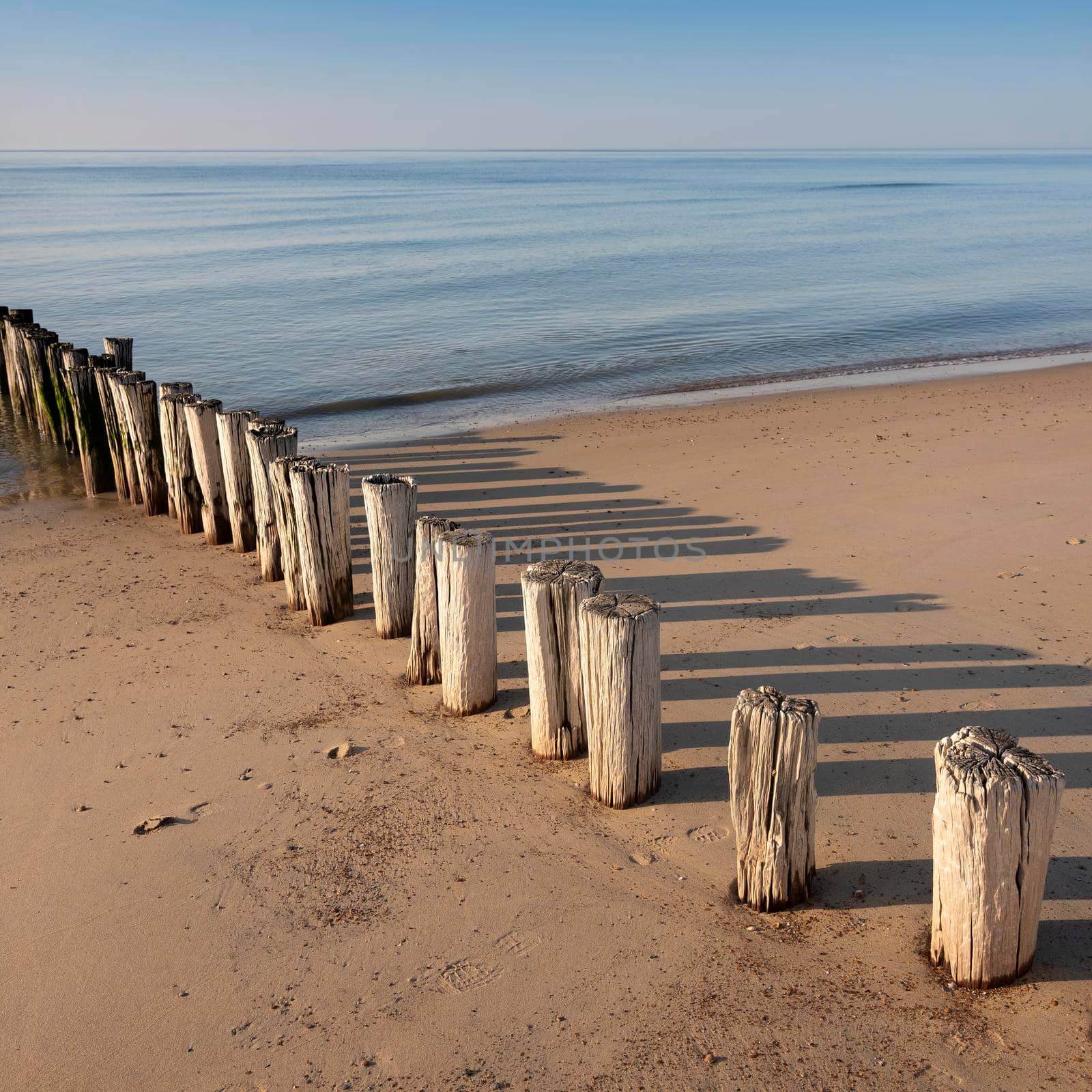 row of poles on beach of zeeland in the netherlands under blue sky in spring by ahavelaar