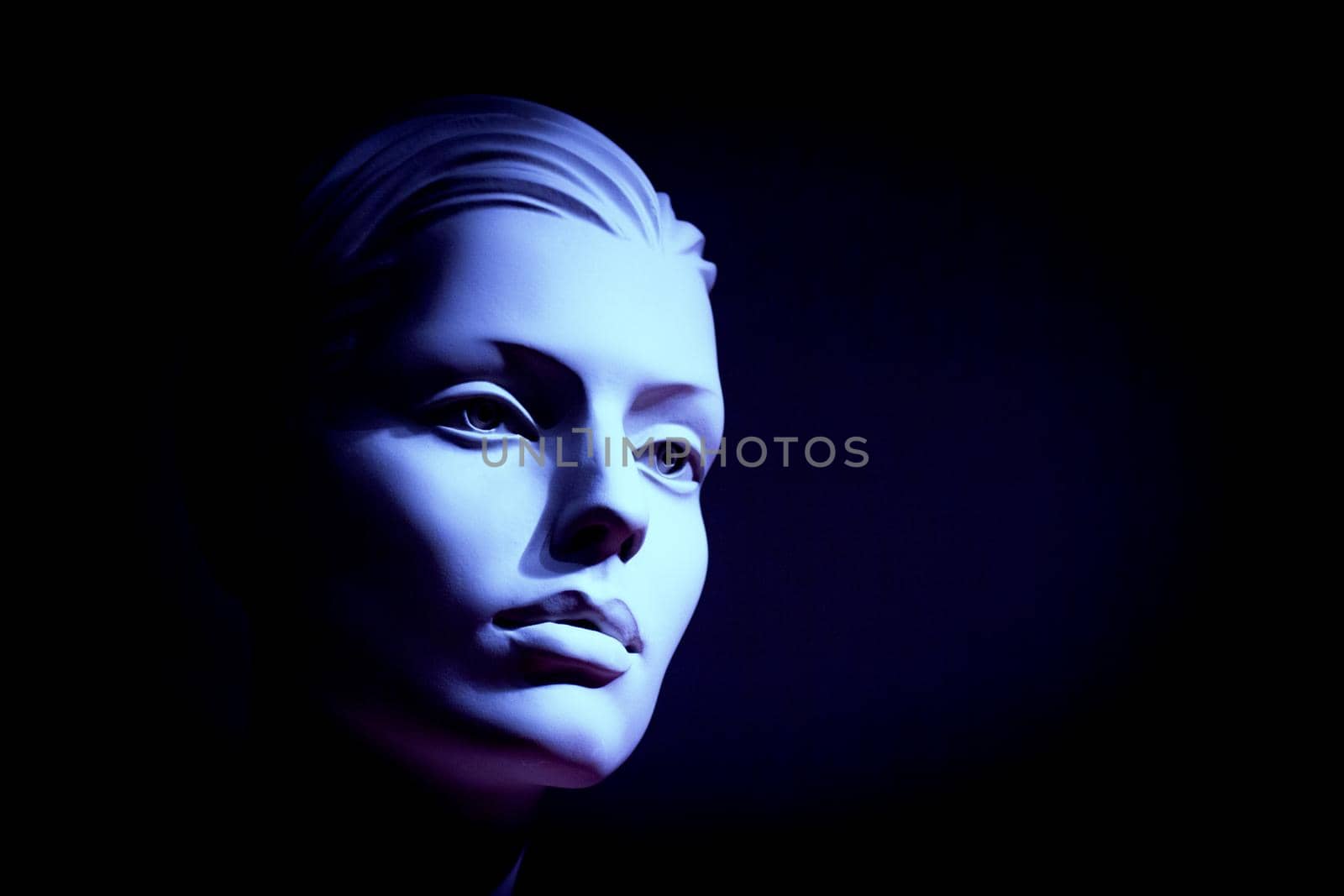 Female portrait of a standard mannequin. No people