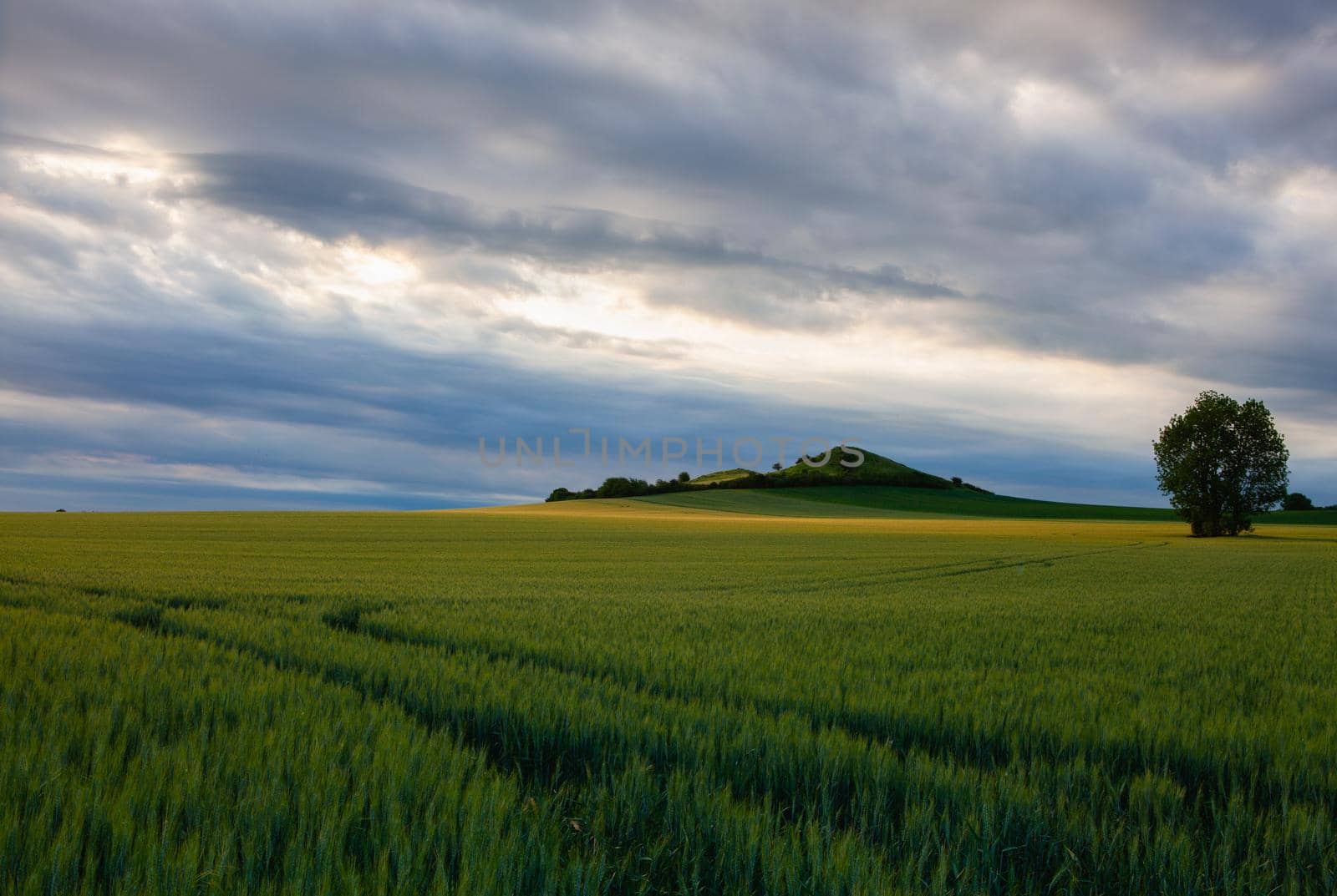 Scenery in Central Bohemian Highlands, Czech Republic. Central Bohemian Uplands  is a mountain range located in northern Bohemia. The range is about 80 km long