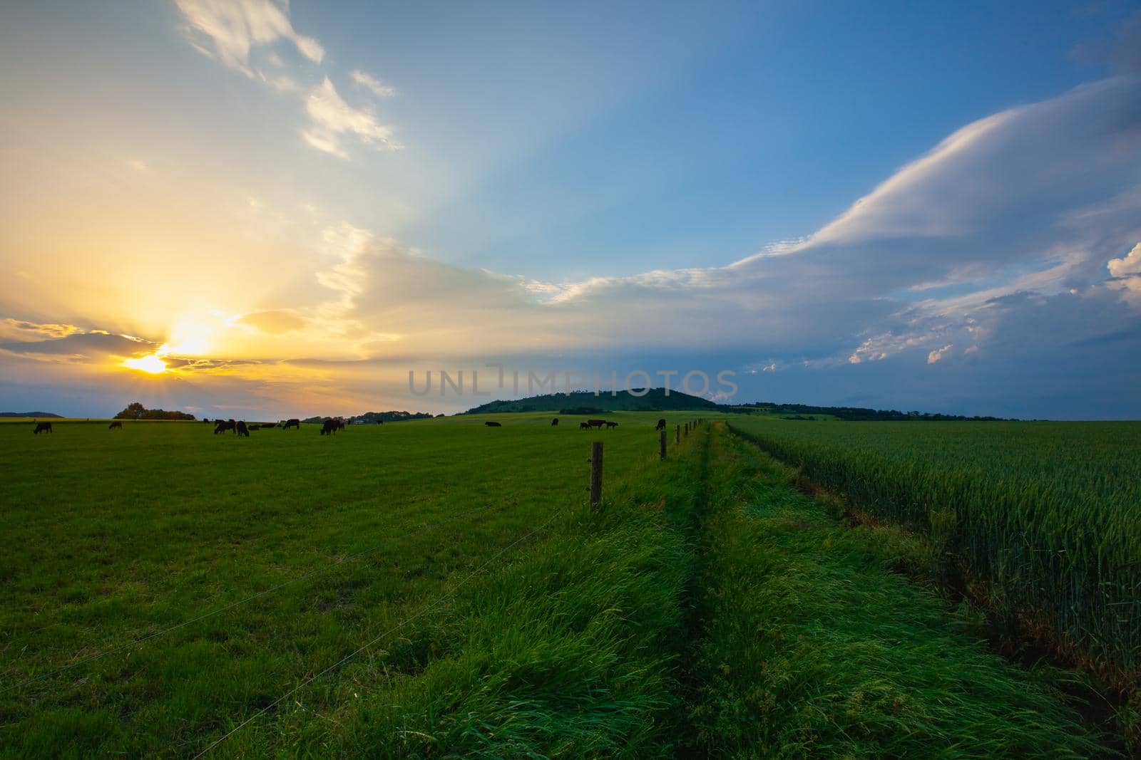 Scenery in Central Bohemian Highlands, Czech Republic. Central Bohemian Uplands  is a mountain range located in northern Bohemia. The range is about 80 km long