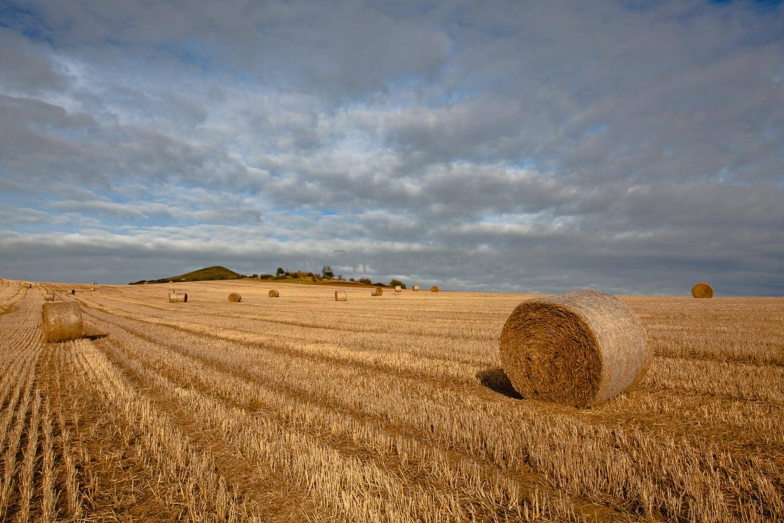 Straw bales on a stubble in Central Bohemian Uplands, Czech Republic. Field landscape bales of straw on a farm field