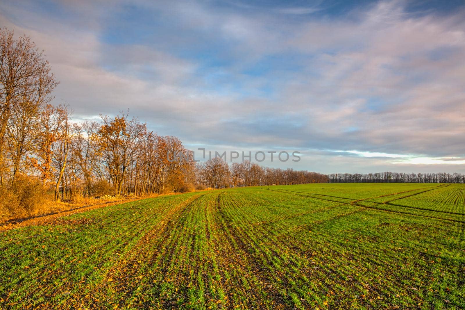 Autumn morning landscape over the city of Louny. Autumn sown field at amazing sunrise. Czech Republic